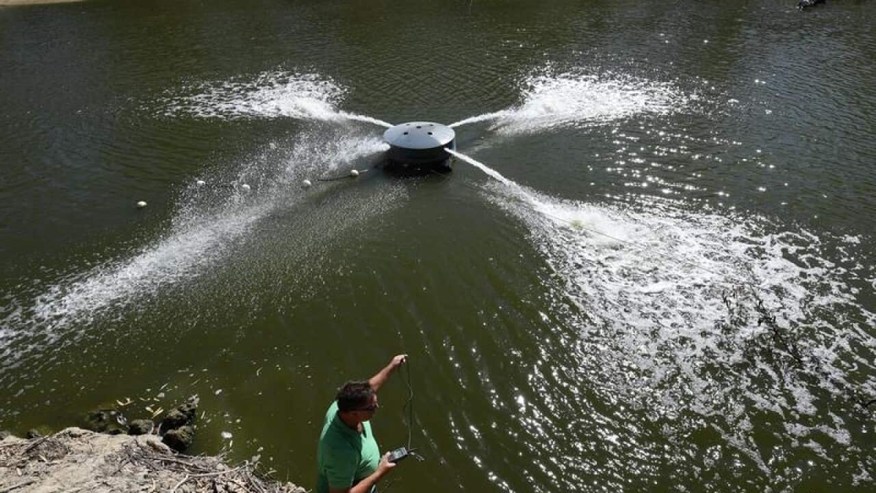 Graeme McCrabb checking dissolved oxygen levels