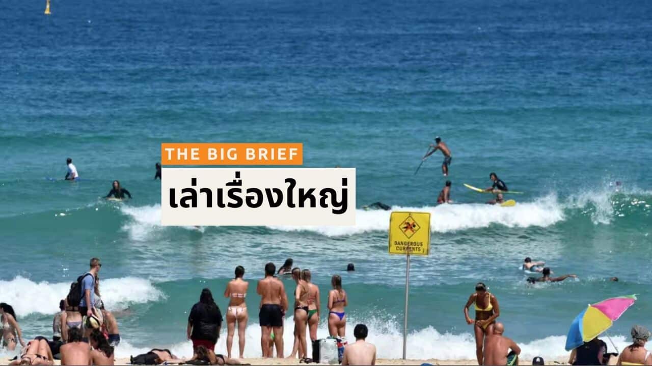 Copy of ALC THAI THE BIG BRIEF - BSP HEADER.jpg