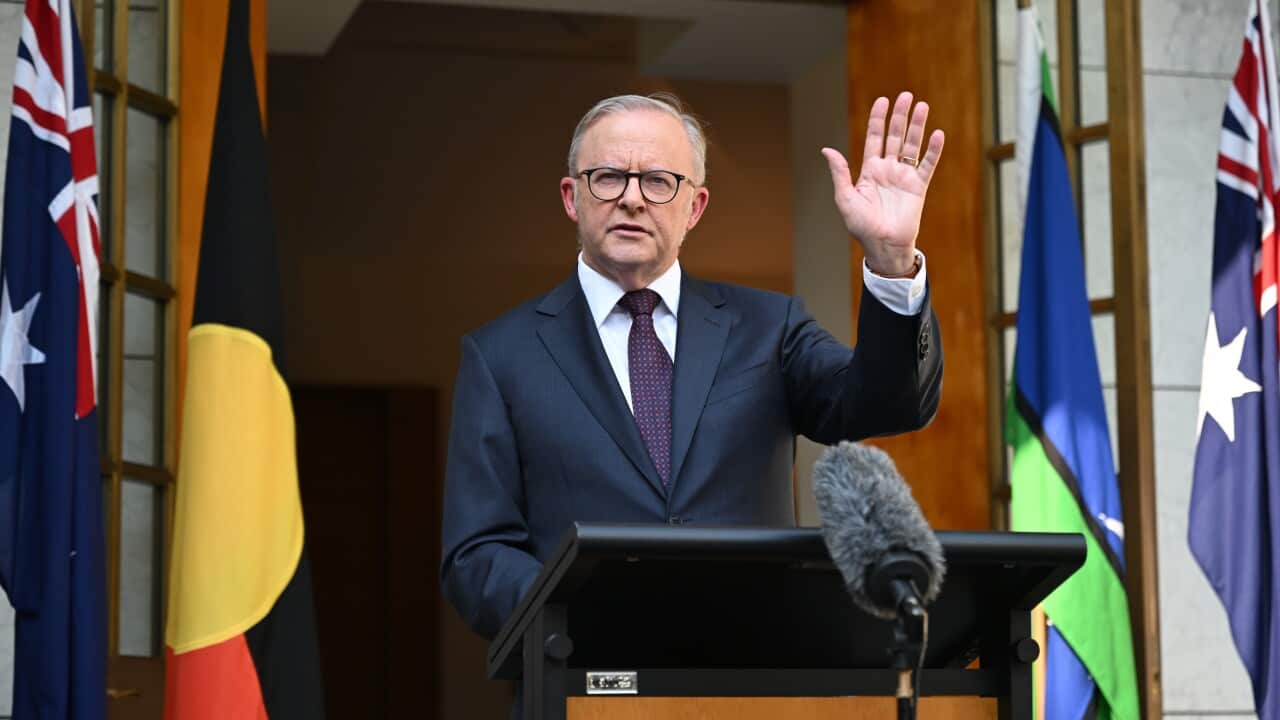 ALBANESE ROYAL COMMISSION ANNOUNCEMENT