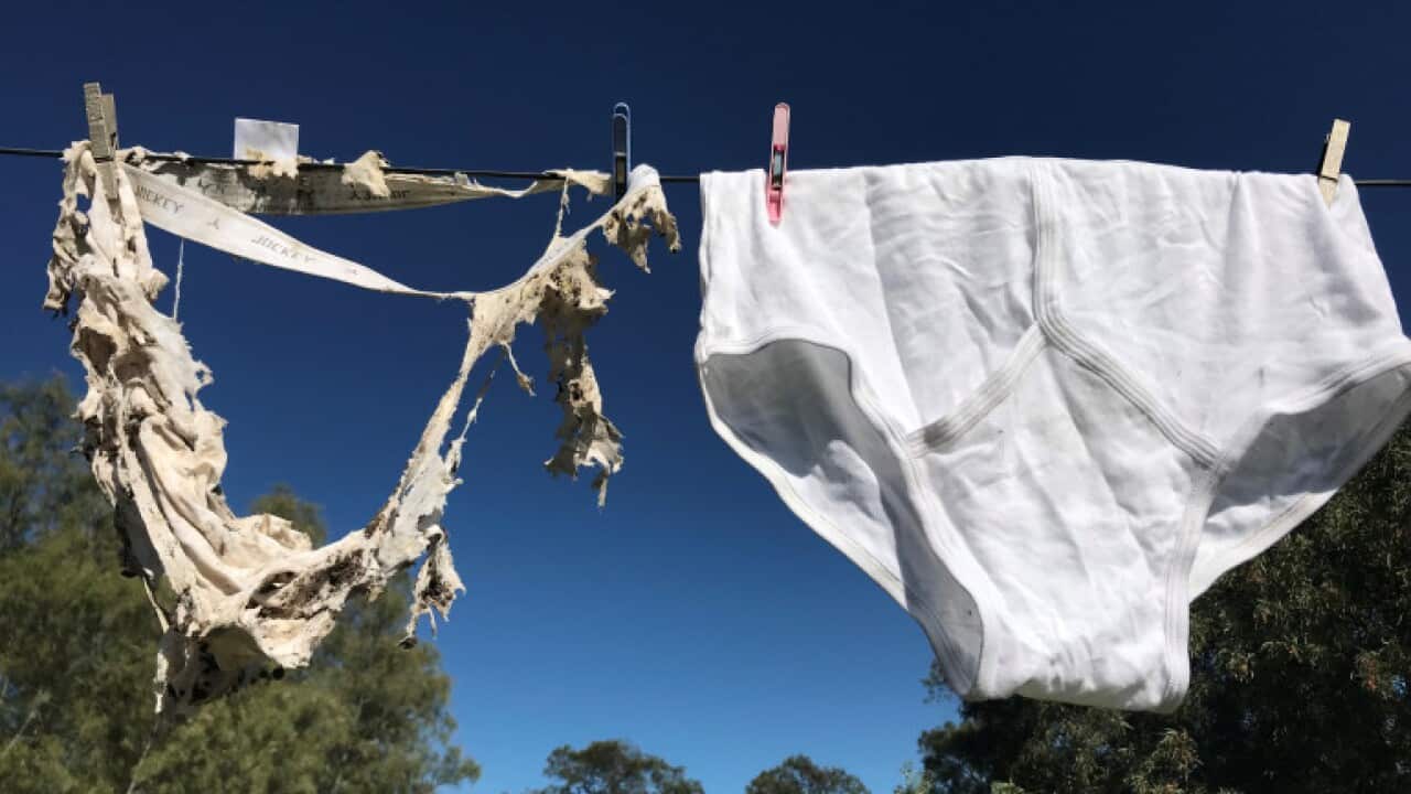 Image for read more article ''