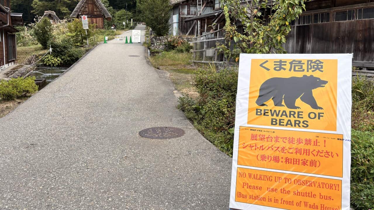 Path with a sign that reads "BEWARE OF BEARS"
