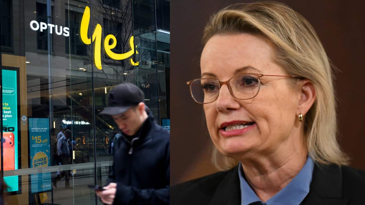 A split image showing an Optus store on the left and Opposition leader Sussan Ley on the right.