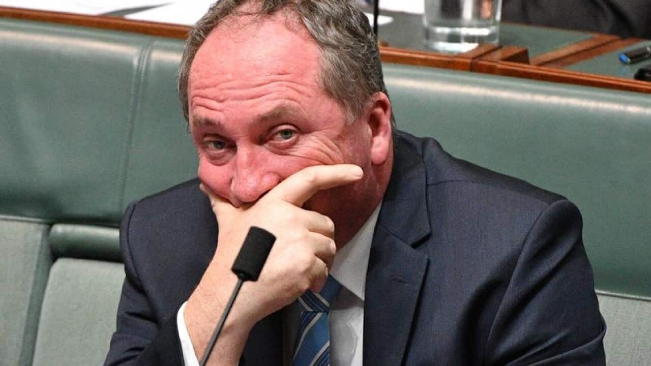 Former Deputy-PM Barnaby Joyce was one of many government figures caught out by dual citizenship.