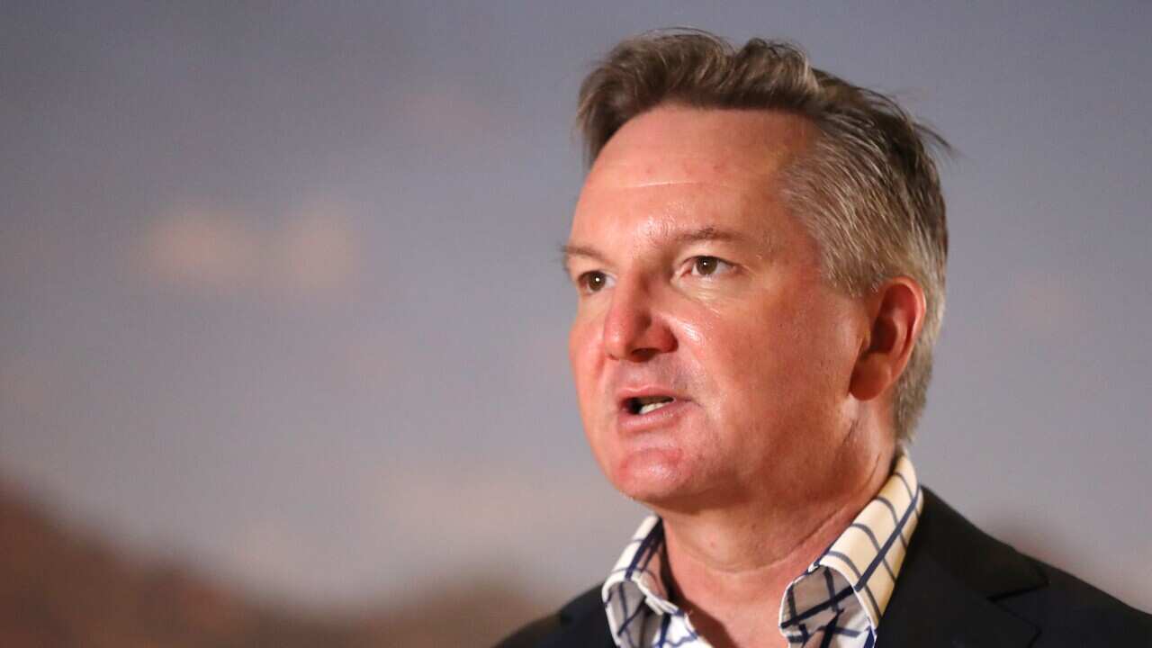 CHRIS BOWEN TARONGA ZOO VISIT