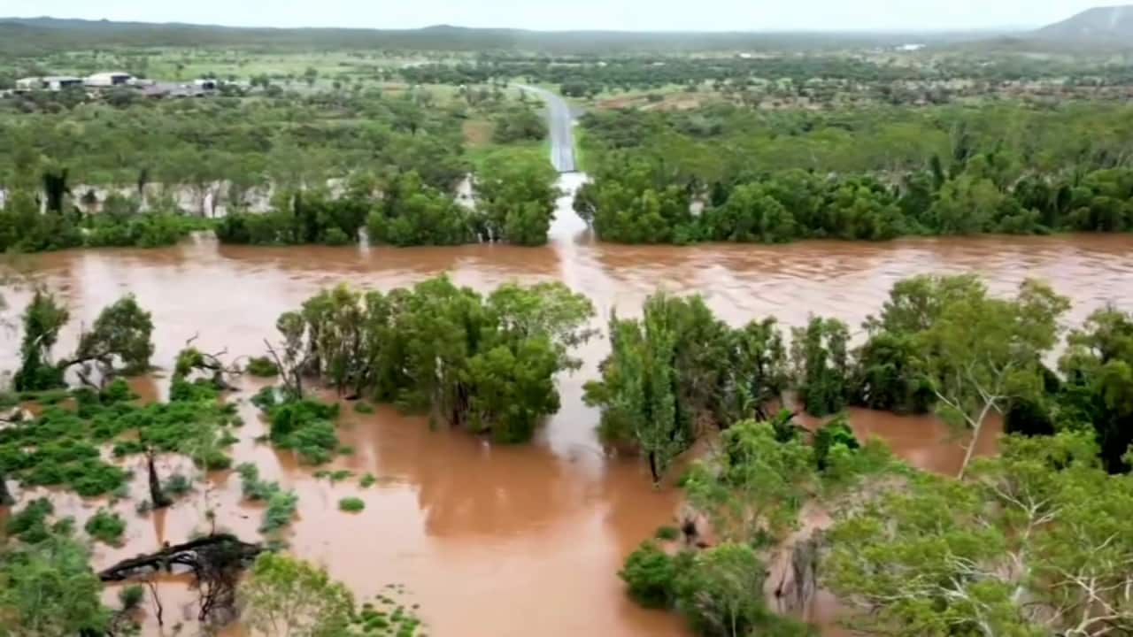 Queensland farmers to receive millions in flood rescue package after ‘significant’ livestock losses