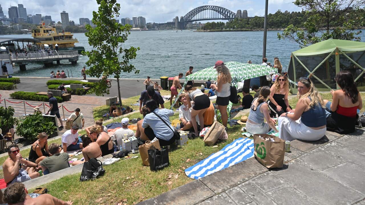 SYDNEY NYE FIREWORKS 2024