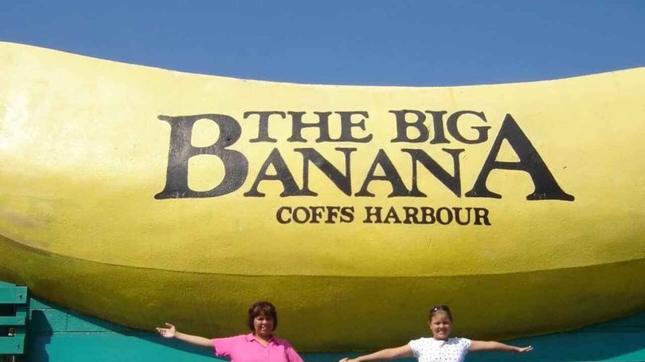 The Big Banana