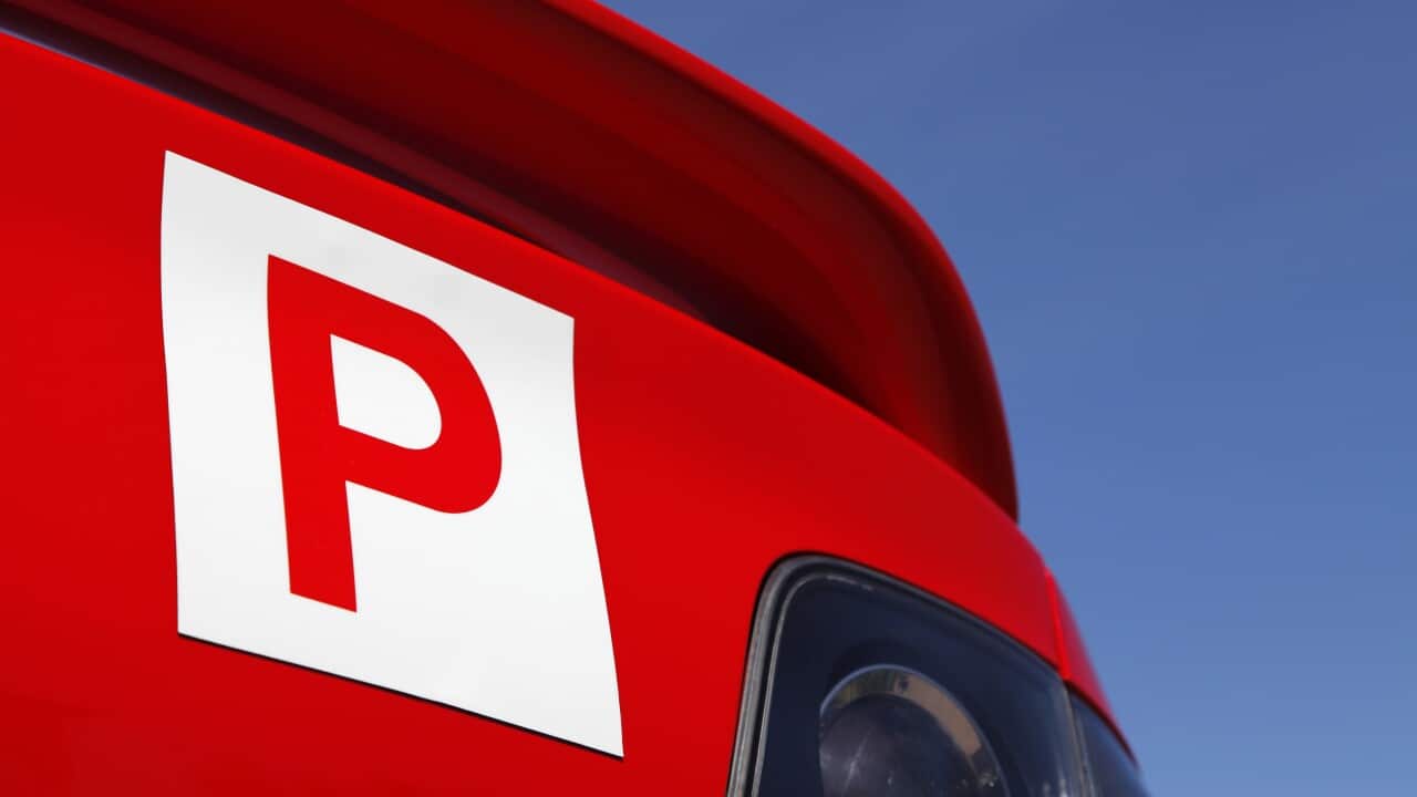 P-Plate