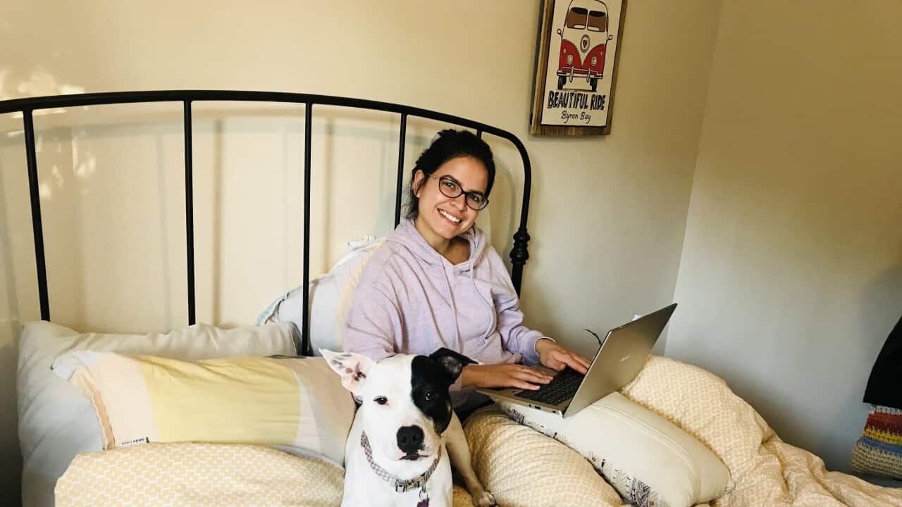 Image for read more article 'আরও দেখুন:'