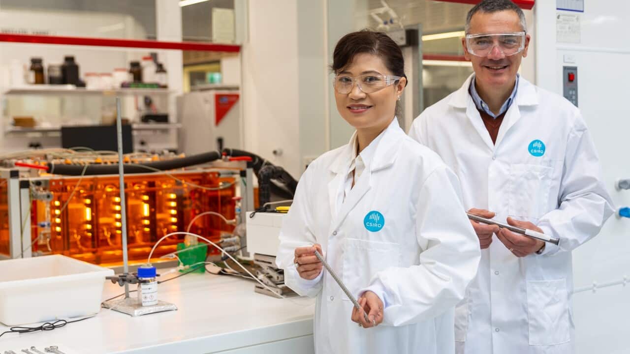 Vicky Au and John Chiefari with CSM rods (SBS).jpg