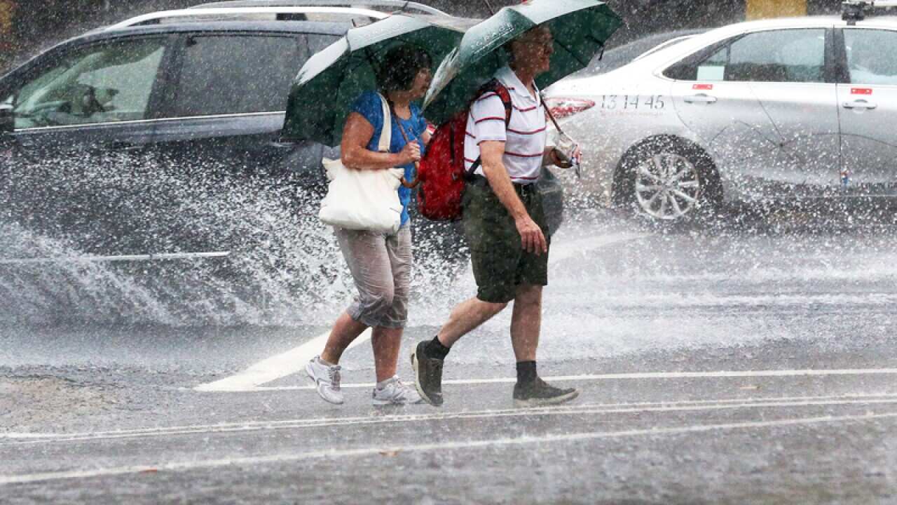 A couple under umbrellas cross the road during heavy rain in Sydney