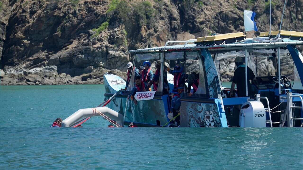 Reef Rangers Indigenous rangers restore Great Barrier Reef using coral spawning ...