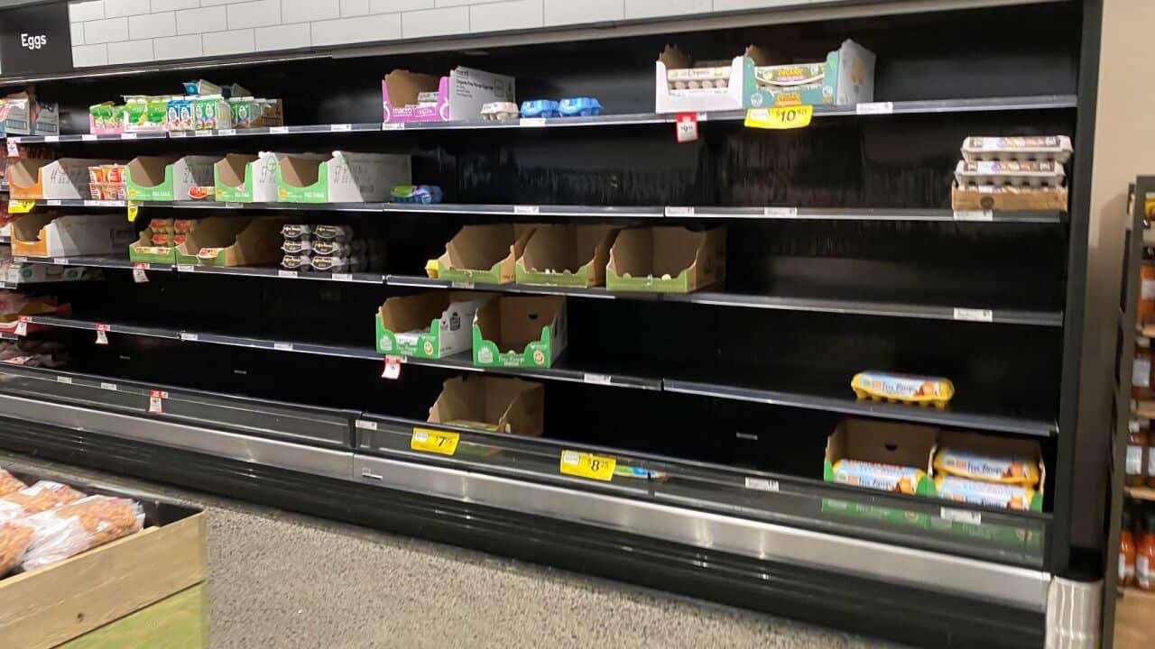 Image for read more article ''