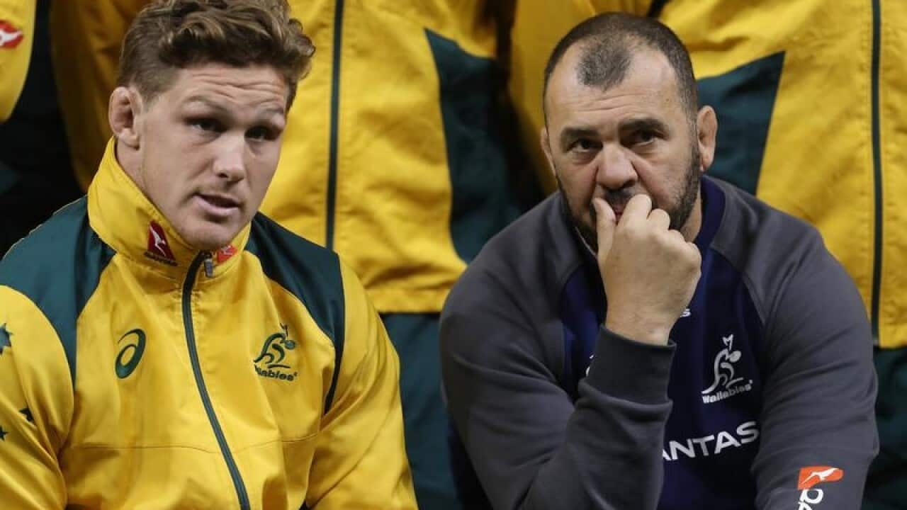 Michael Cheika