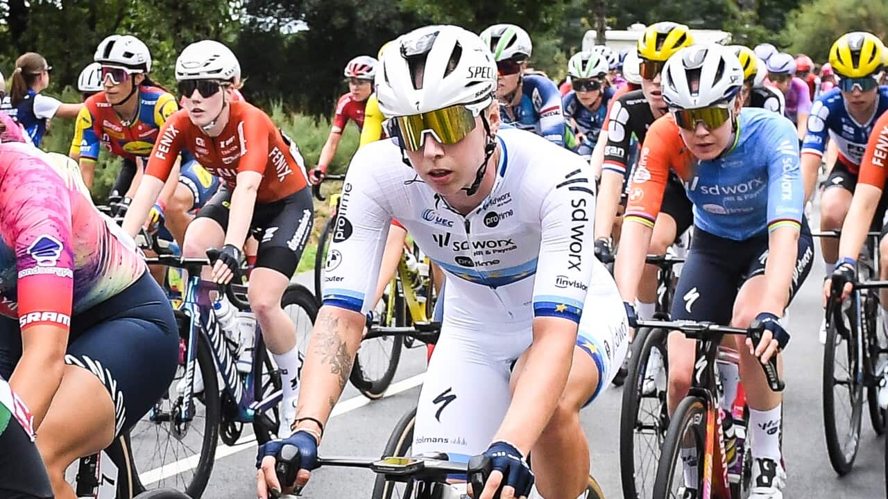Road cyclists riding along a road