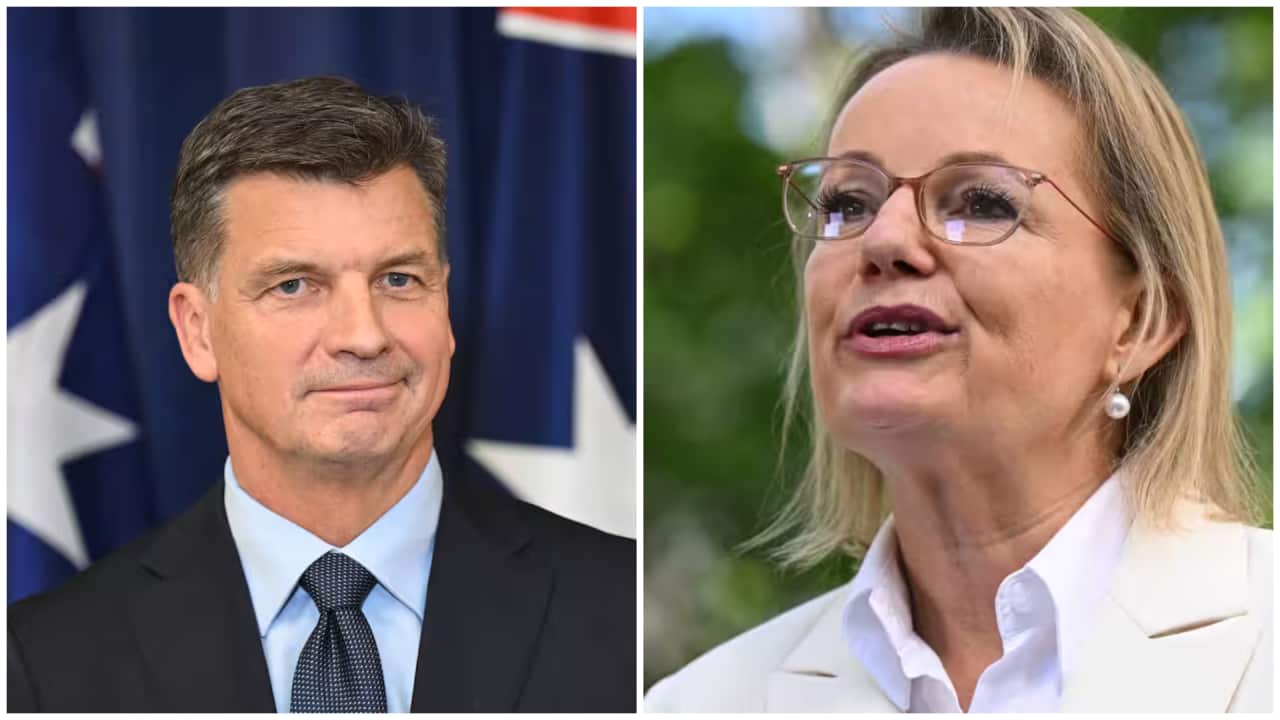 Sussan Ley had been poised to introduce hardline immigration policies, Liberal sources say
