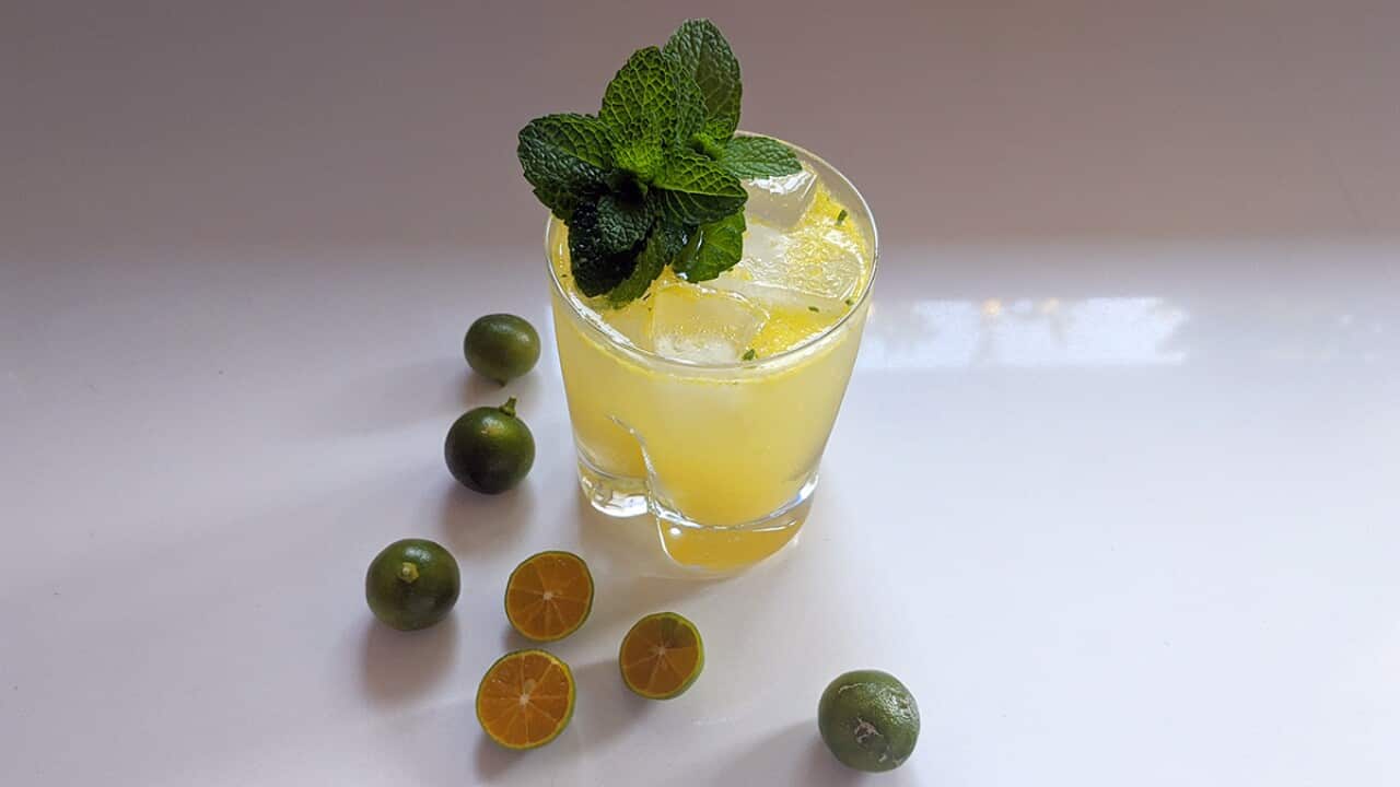 Calamansi gin spritzer SBS Food