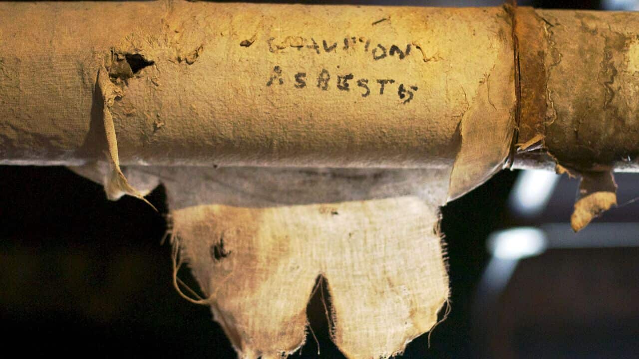 Image for read more article '相關內容'