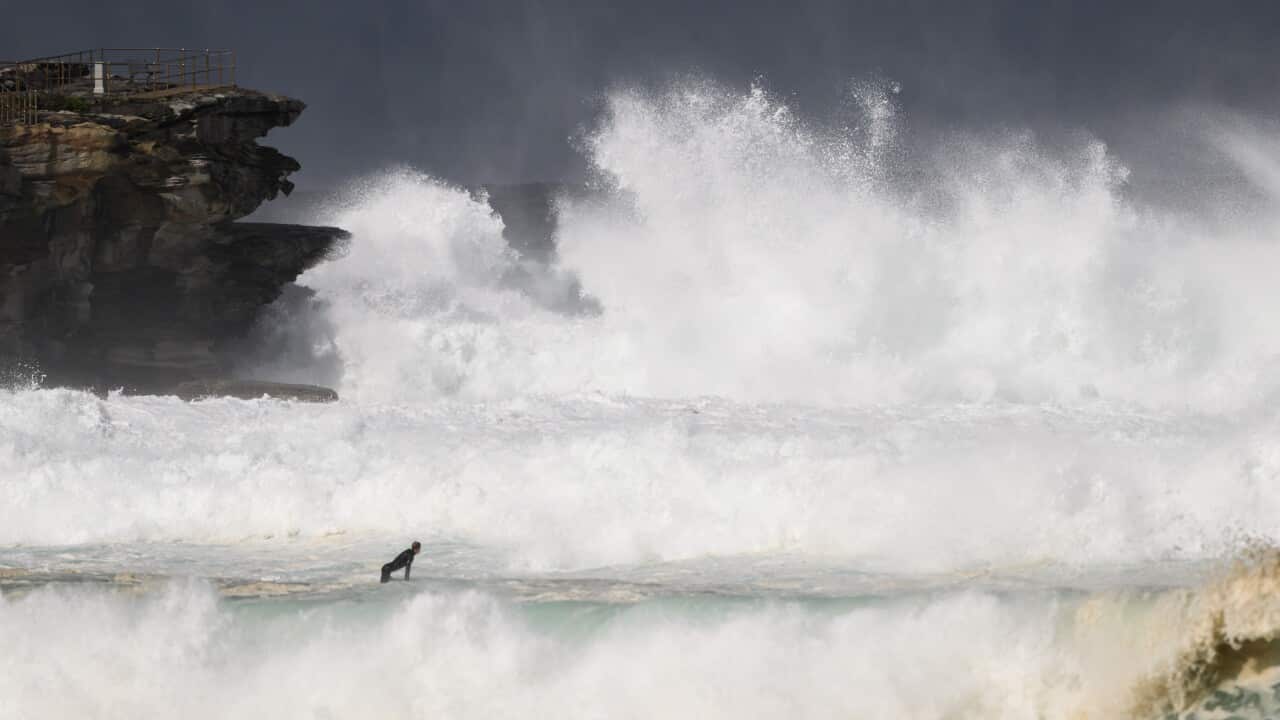 A surfer in the water off Bondi Beach in Sydney
