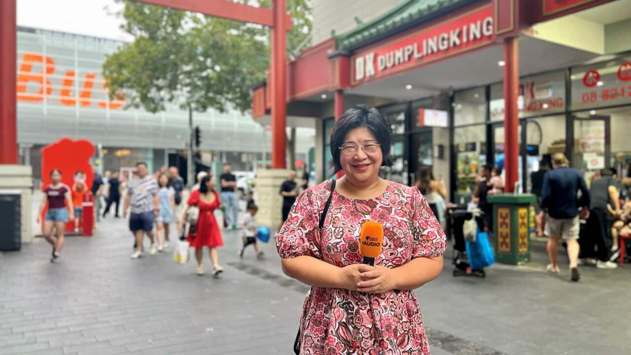 南澳同德会主席章德玲(Anna Cheung).jpg