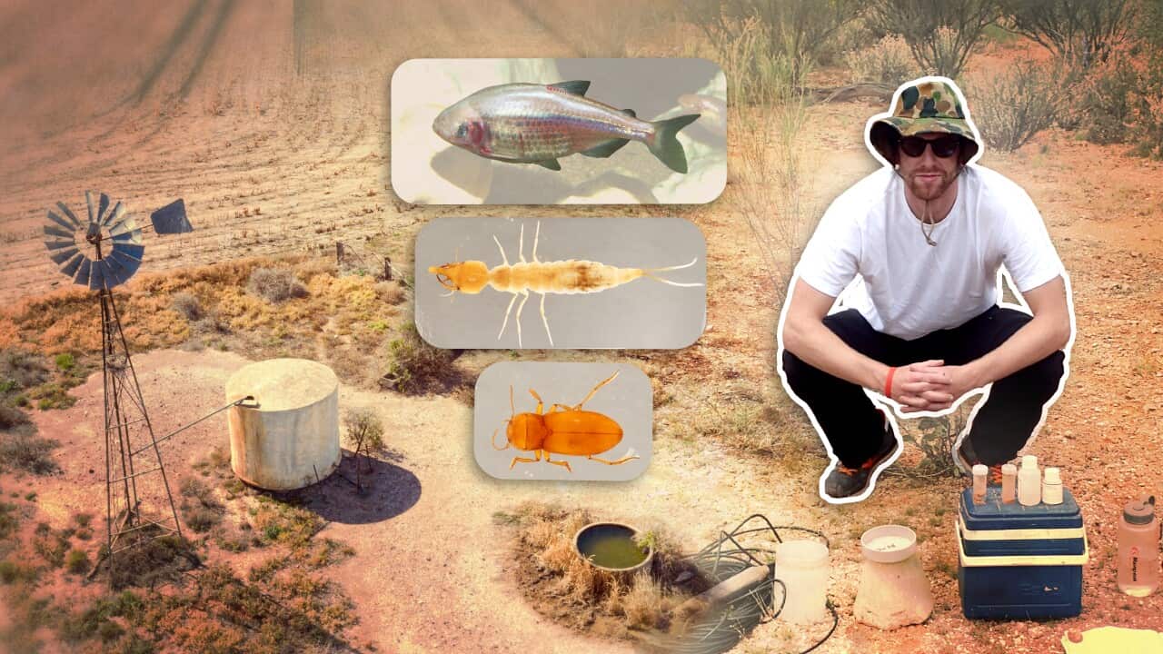 One-third of Australia’s vital groundwater reserves is under threat. Here’s how you can help One-third of Australia’s vital groundwater reserves is under threat. Here’s how you can help