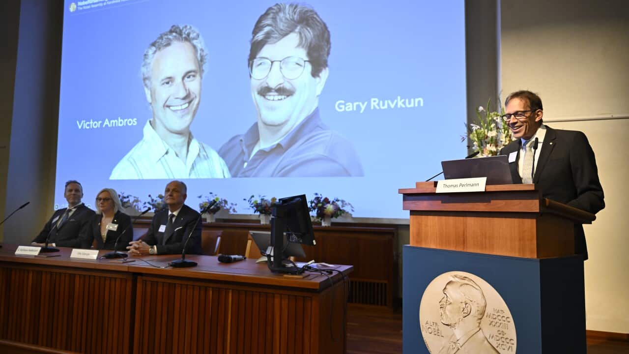 Nobel Committee chairman Thomas Perlmann addresses a press conference to announce the winners of the Nobel Prize in Physiology or Medicine at the Karolinska Institute in Stockholm