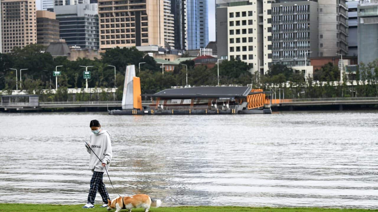 A woman walks her dog in Southbank during the last few hours of a lockdown in Brisbane.