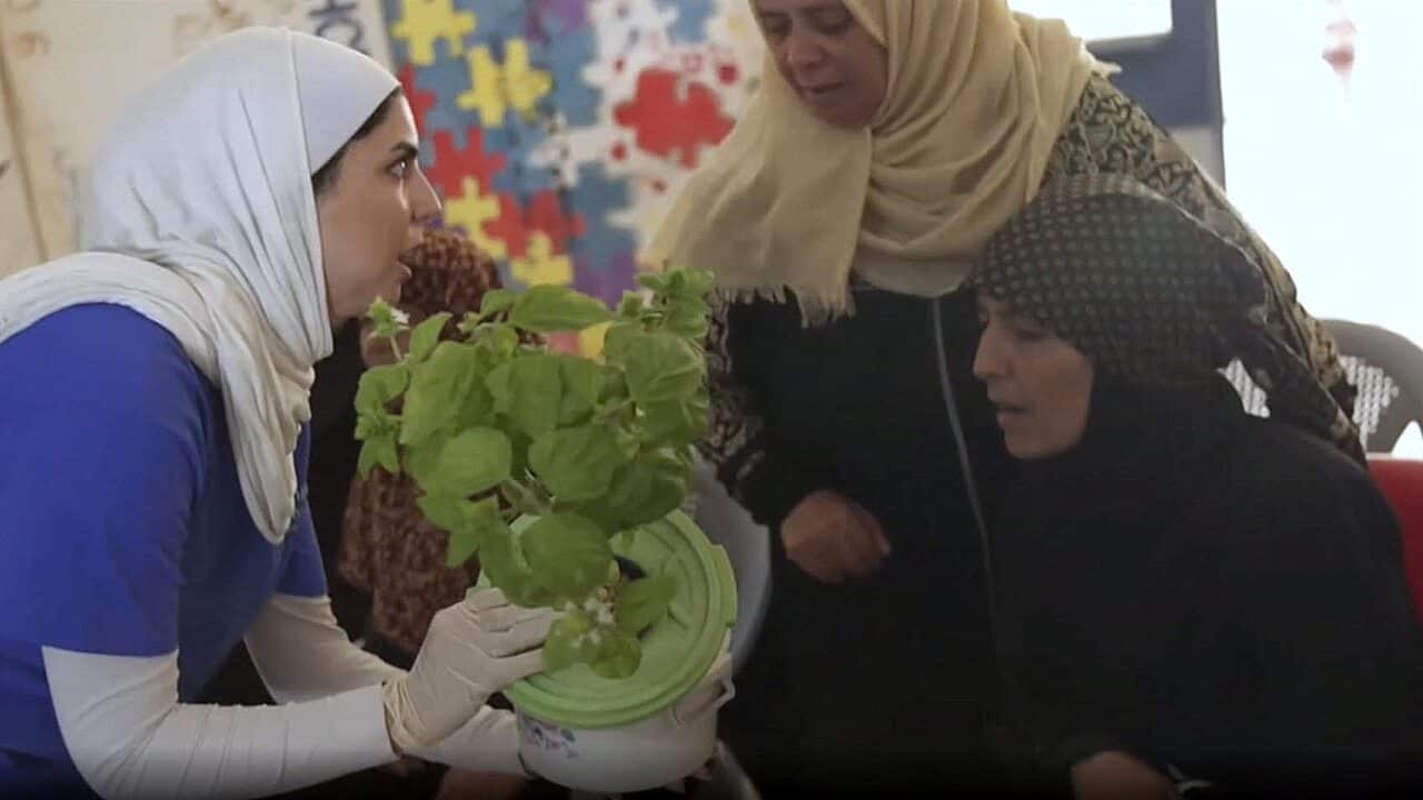 Image for read more article ''