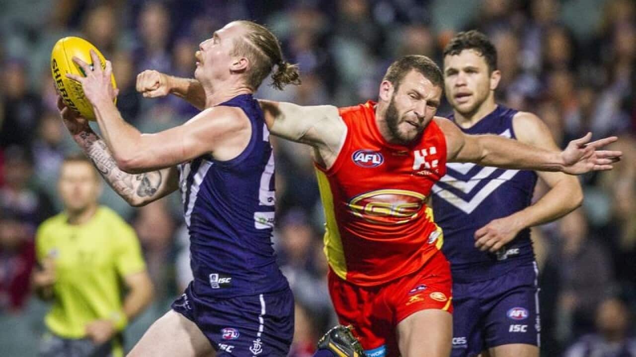 AFL Dockers Suns