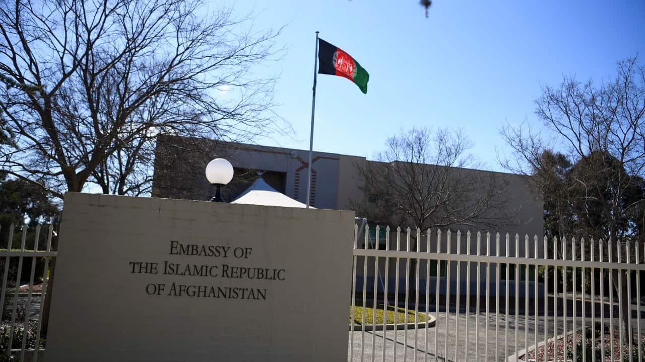 AFGHAN EMBASSY CANBERRA STOCK
