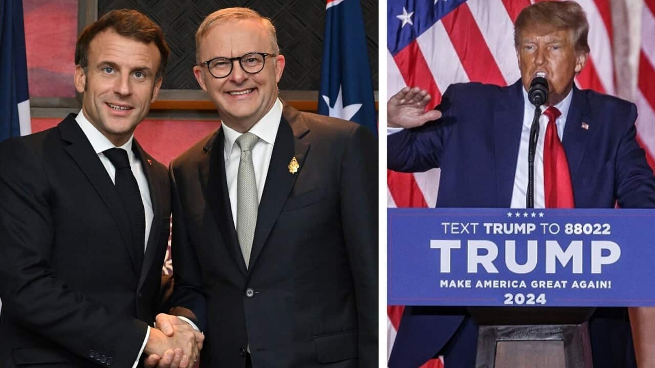 Albanese Macron Trump.jpg