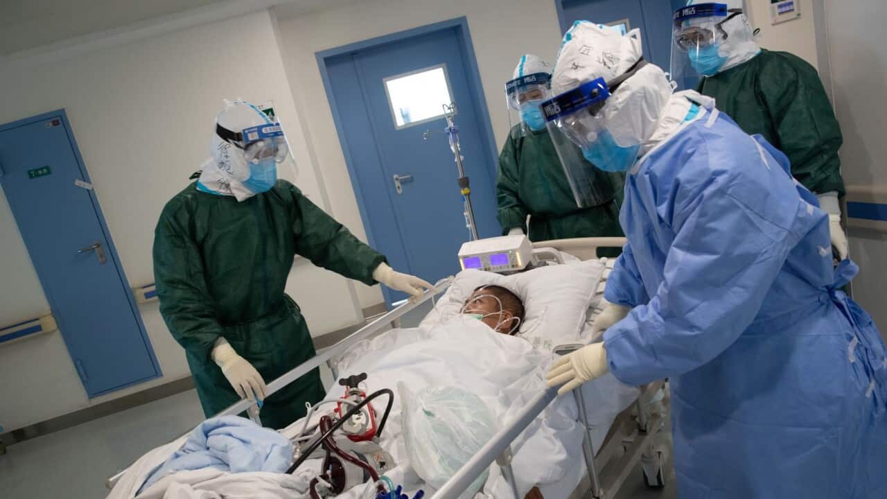 Chinese medical workers escort a patient