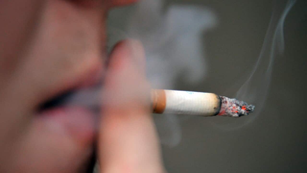 Govt not acquiring big tobacco's brands
