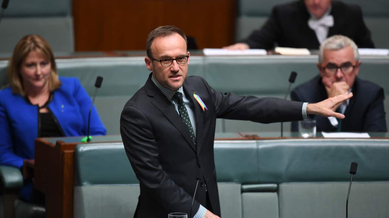 Greens MP Adam Bandt