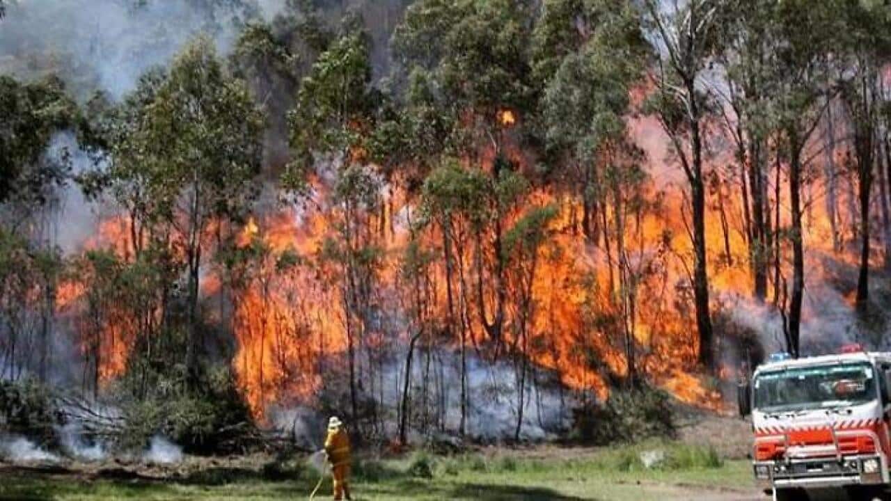 A representative image of bushfires