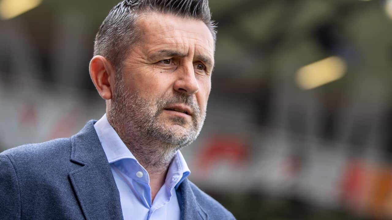 Nenad Bjelica Dinamo Coach Sept 2024