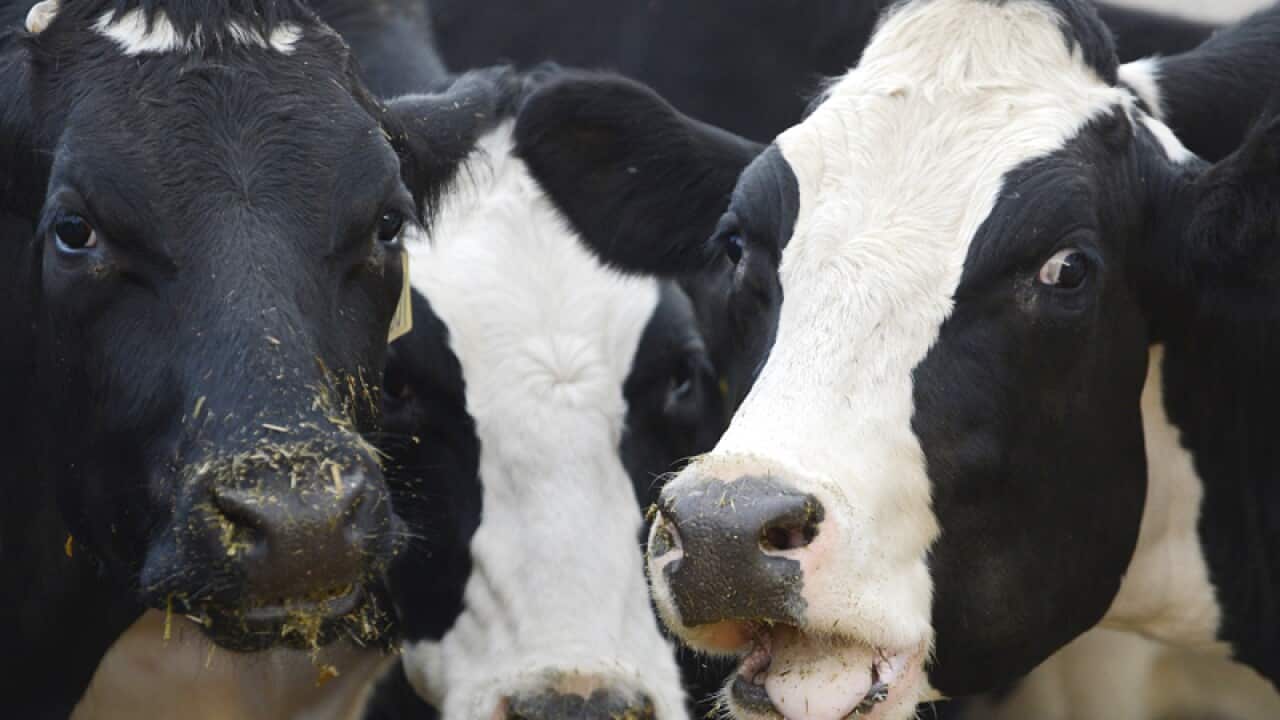 Image for read more article ''