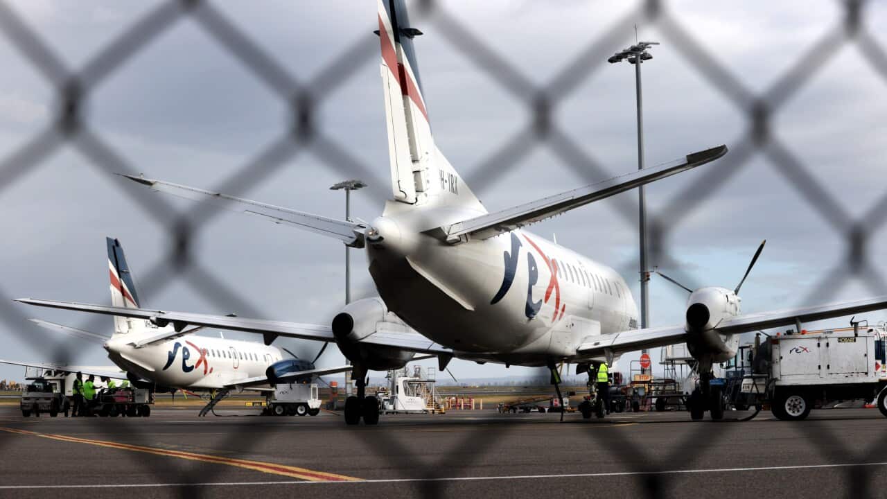 REX AIRLINES STOCK