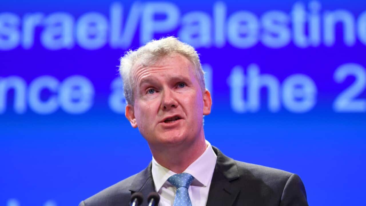 Tony Burke speaking at the ALP conference in Adelaide