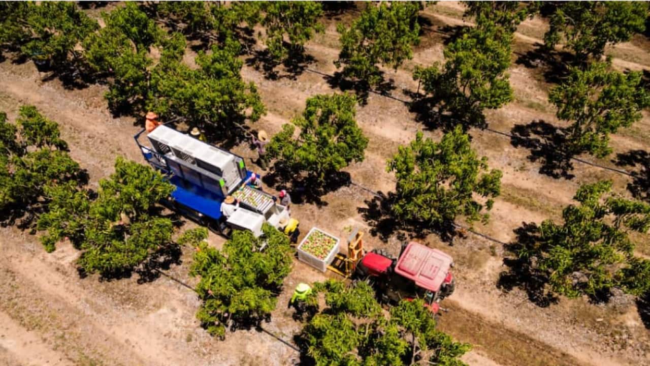 Screenshot 2026-02-11 123047.png