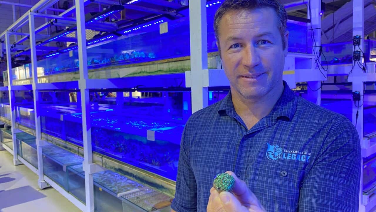 Image for read more article '阅读更多'