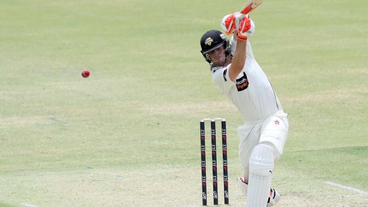 Mitch Marsh of Western Australia plays a shot during day 1.