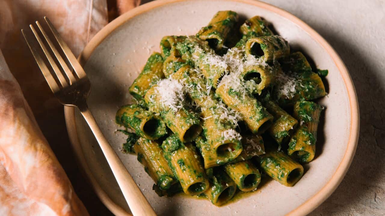Rigatoni with swiss chard sauce, garlic, chilli and parmesan