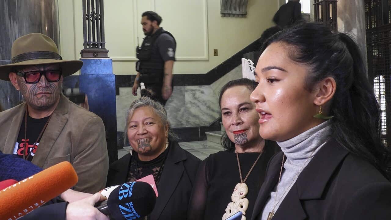 Hana-Rawhiti Maipi-Clarke  Te Pāti Māori Wellington Parliament