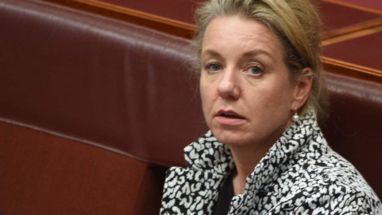 Nationals Senator Bridget McKenzie