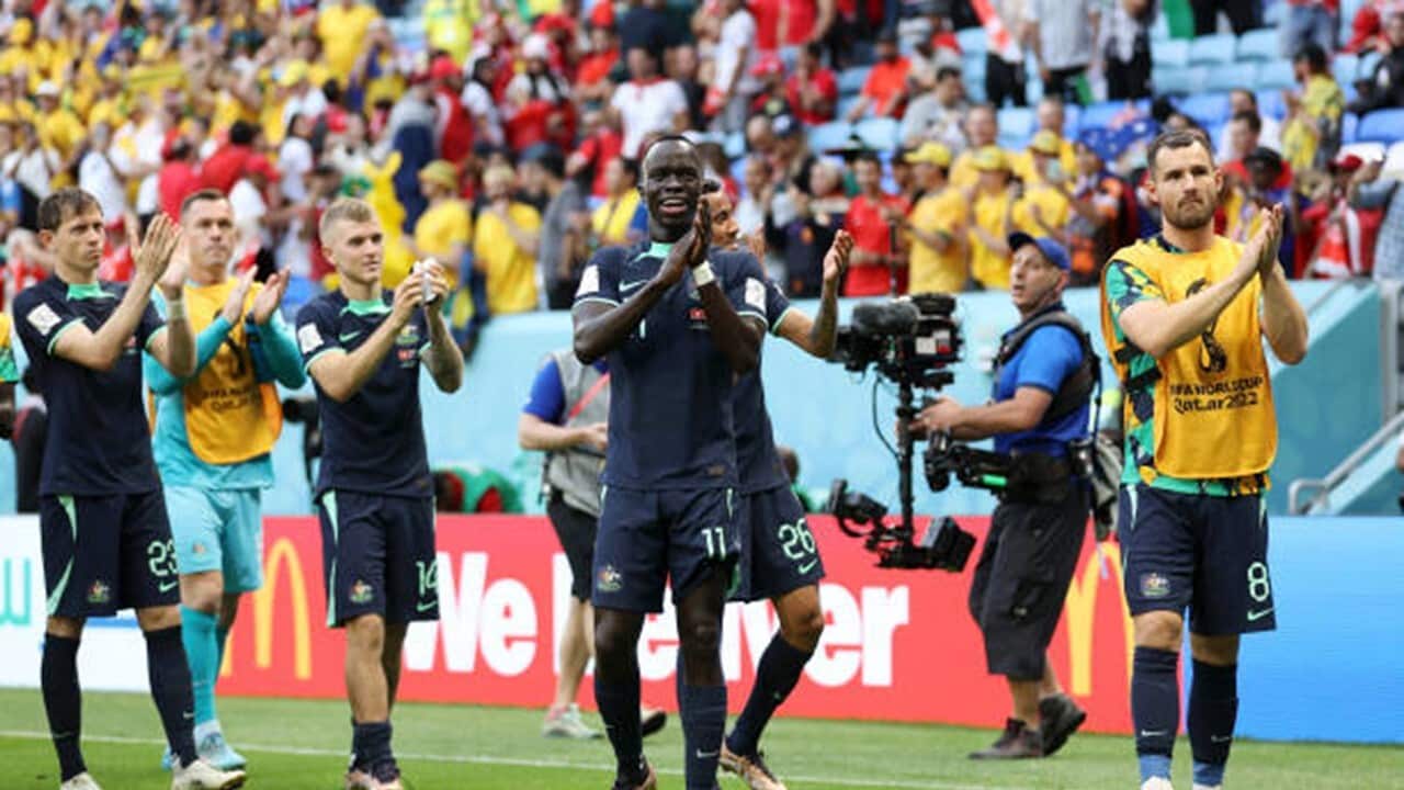 Image for read more article 'READ MORE'