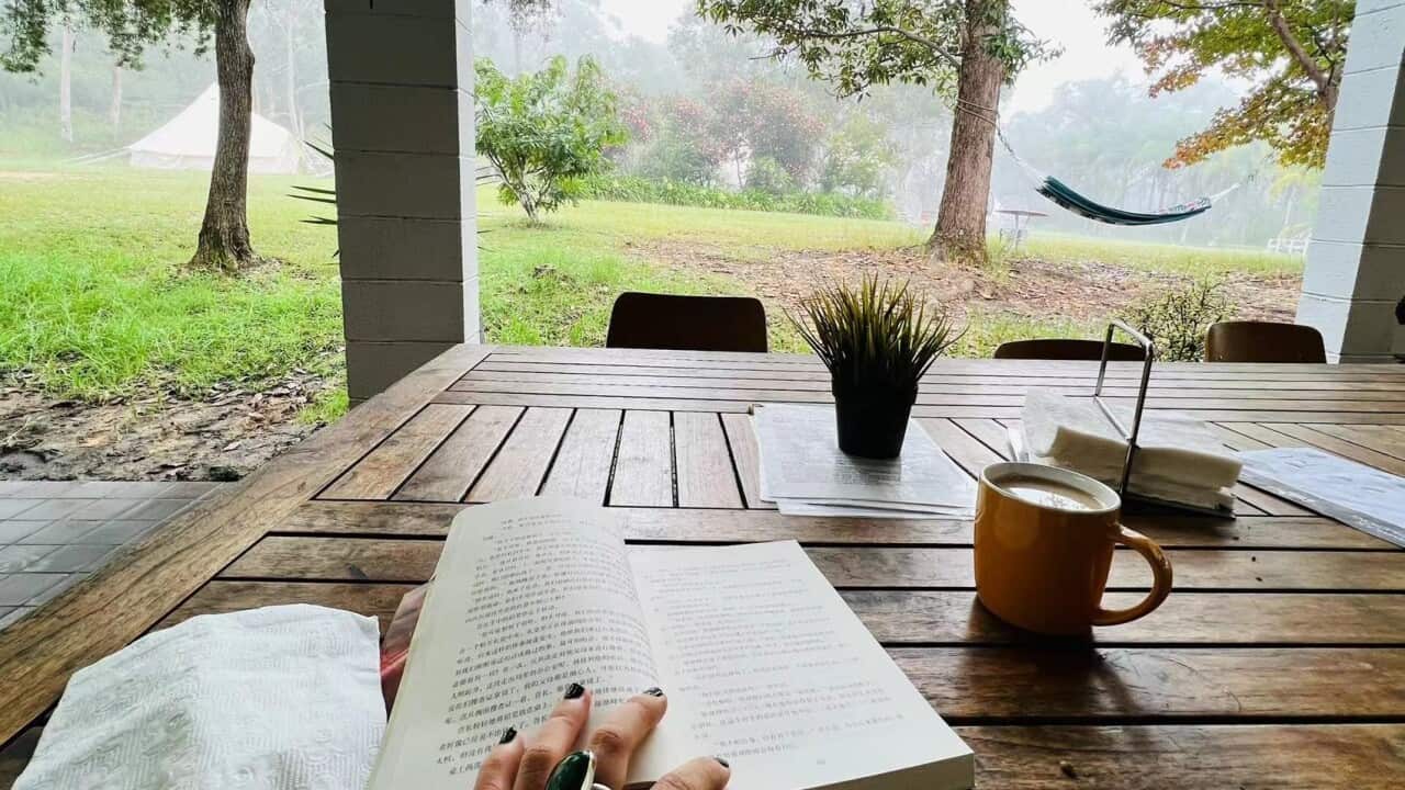 Image for read more article ''