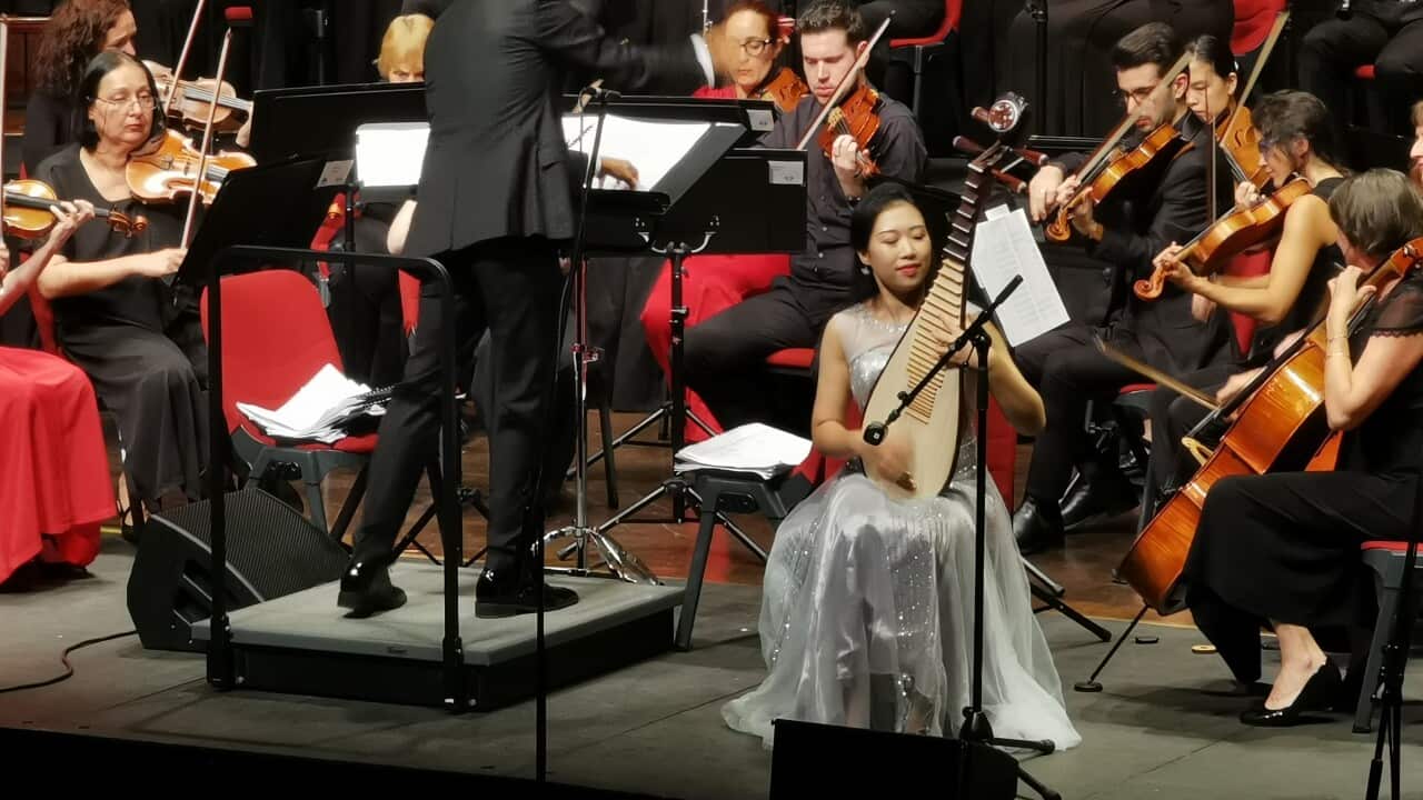 Zina Fan pipa musician