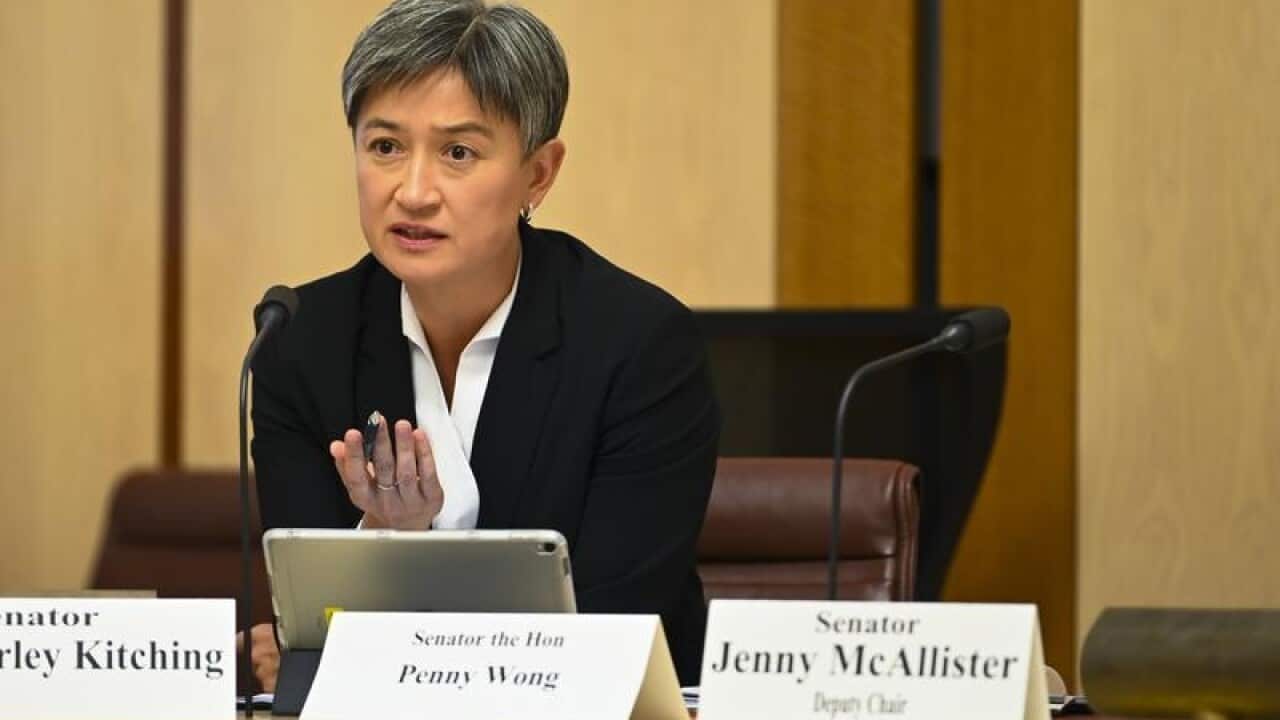 The leader of the Opposition in the Senate Penny Wong