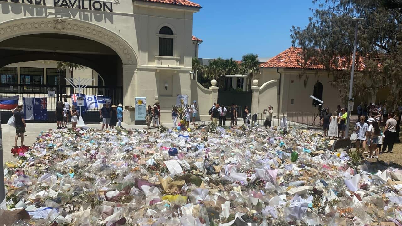 Floral tributes at Bondi Beach. Arrangements are being made for a permanent memorial at Bondi as well as the National Day of Mourning in the new year_SBS_Catriona Stirrat.jpg